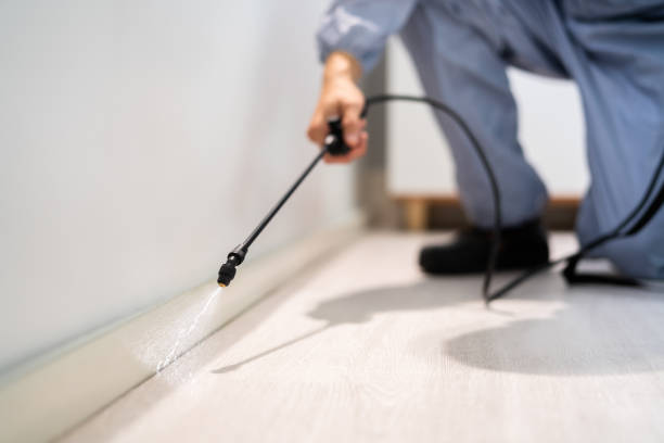 Bed Bug Pre-Treatment Preparation Assessment in Goliad