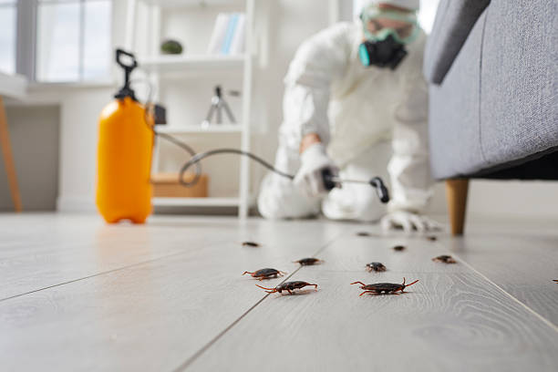 Post-Treatment Bed Bug Interceptor Monitoring in Goliad