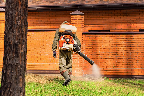 Bed Bug Clearance Verification and Documentation in Goliad